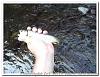 Click image for larger version. 

Name:	Wilson Trout Trip Aug 2011 (21).jpg 
Views:	12 
Size:	114.6 KB 
ID:	238