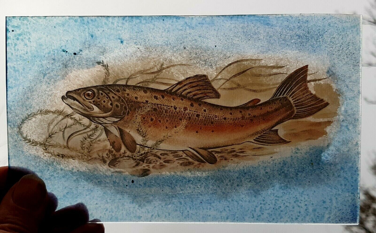 Stained Glass Brown Trout fish Kiln fired painted fishing 18 cm x 10.5 cm approx