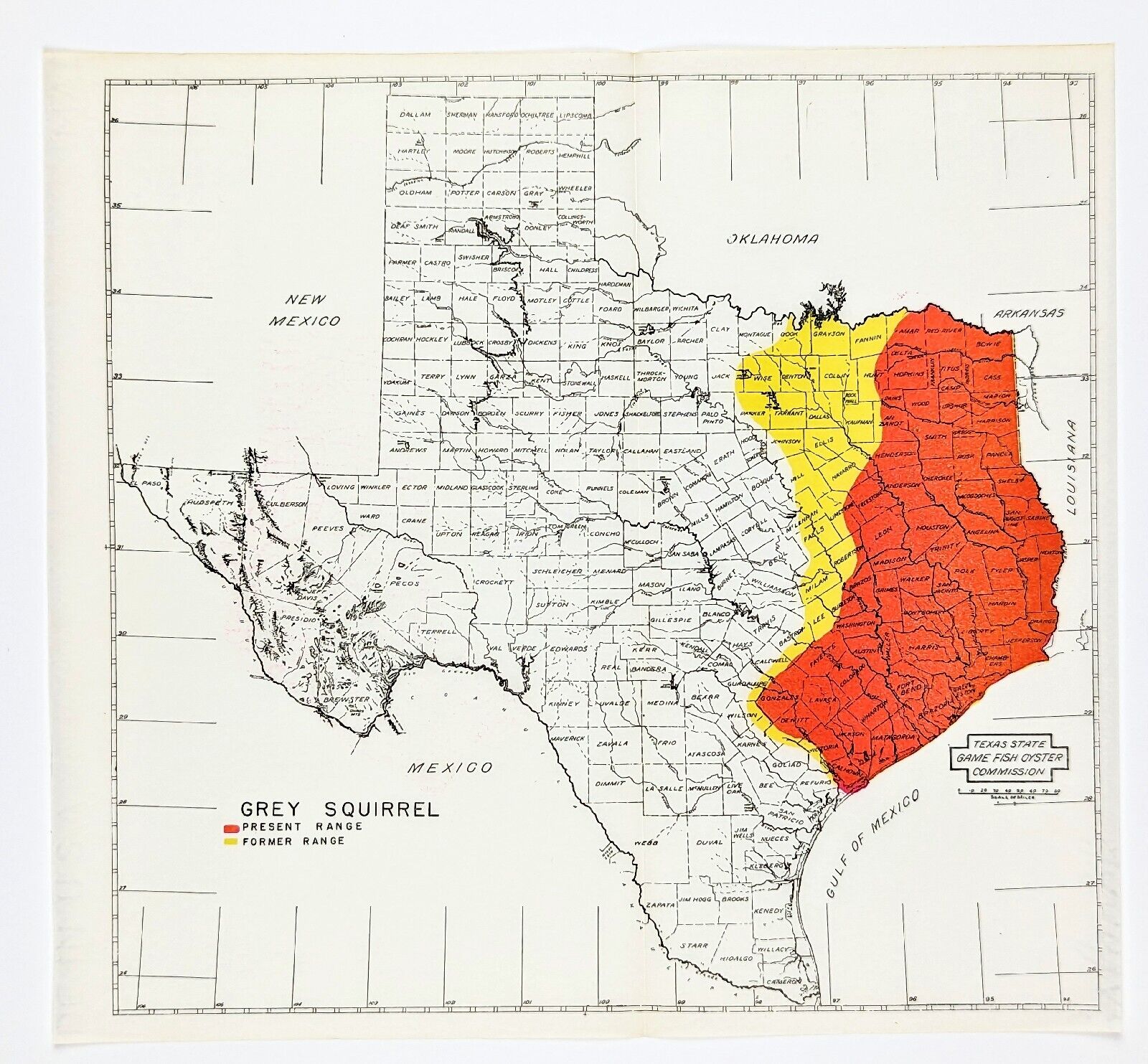 1945 Texas Map ORIGINAL Grey Squirrel Range Game & Fish Commission