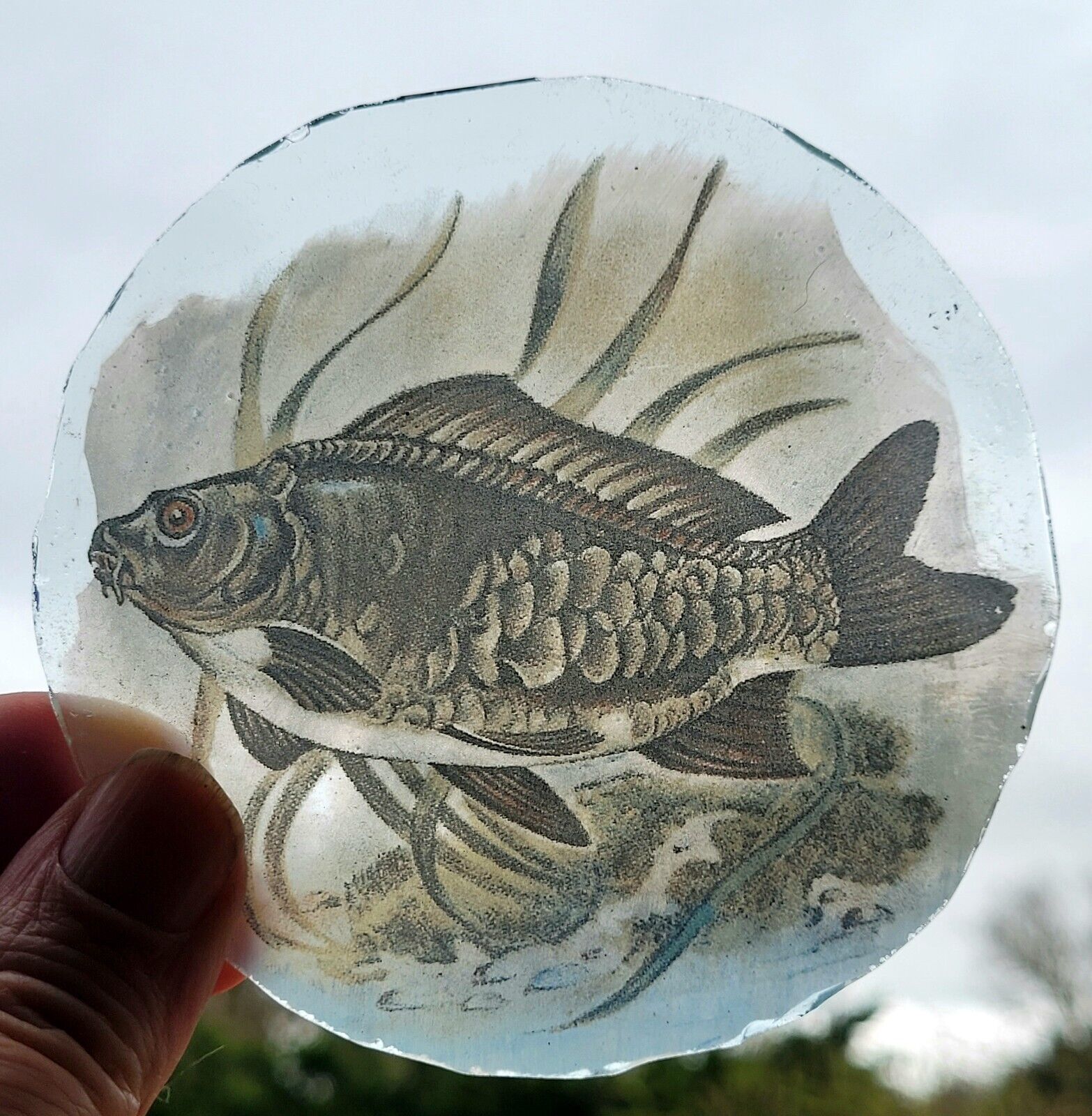 Stained glass Mirror Carp fish roundel traditional kiln fired 10.5 cm