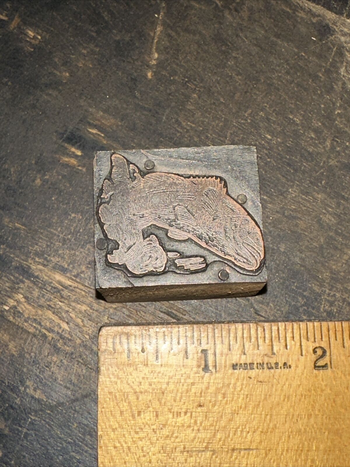 (Print Block) “ Fish/Bass “ Early Copper on Wood Print Block