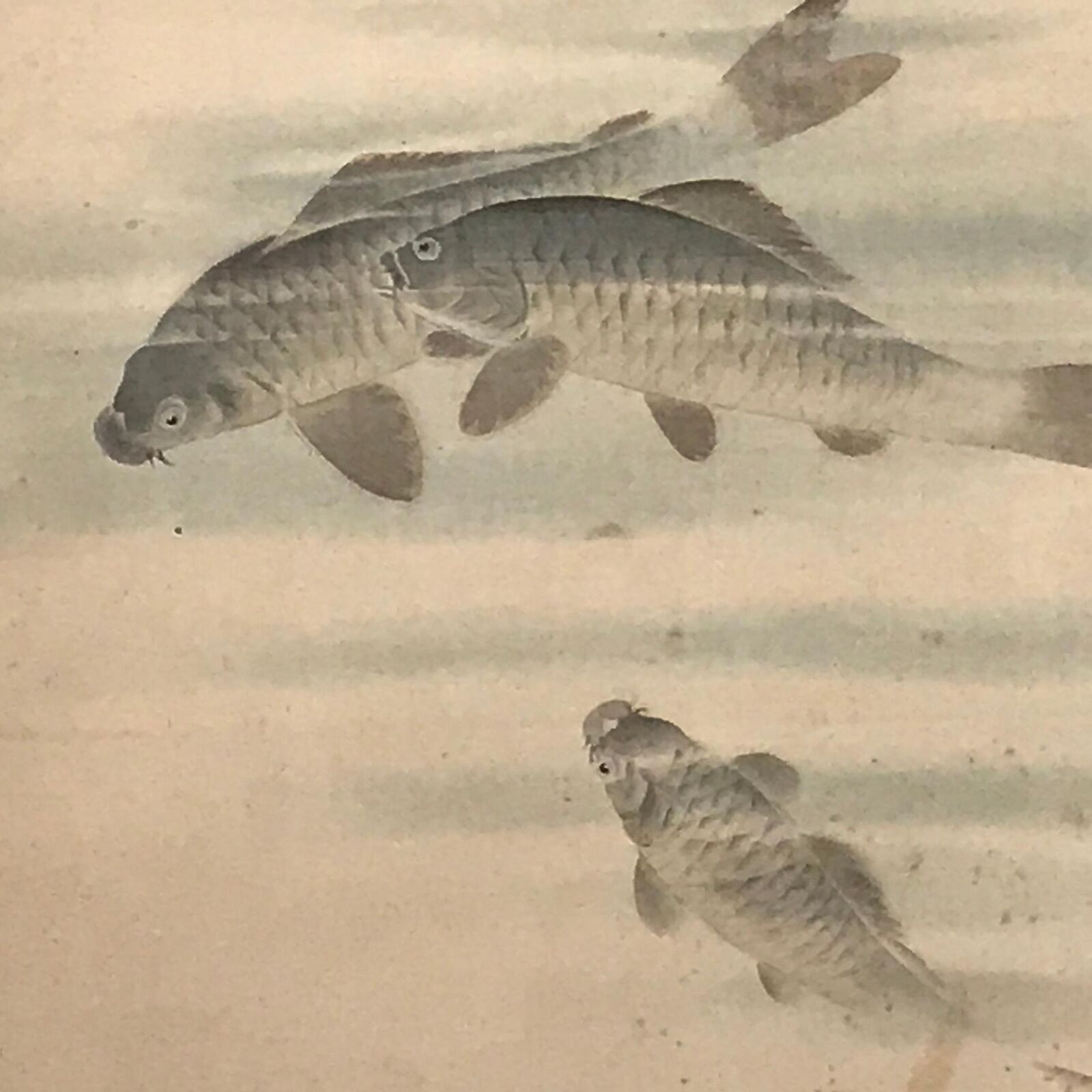 Japanese Hanging Scroll Vtg Three Swimming Carps Black Fish Kakejiku SC817