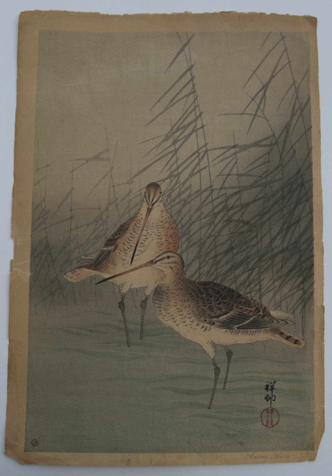 Antique Japanese Taisho c1926 Woodblock Print Koson Ohara Snipe Reeds Stream