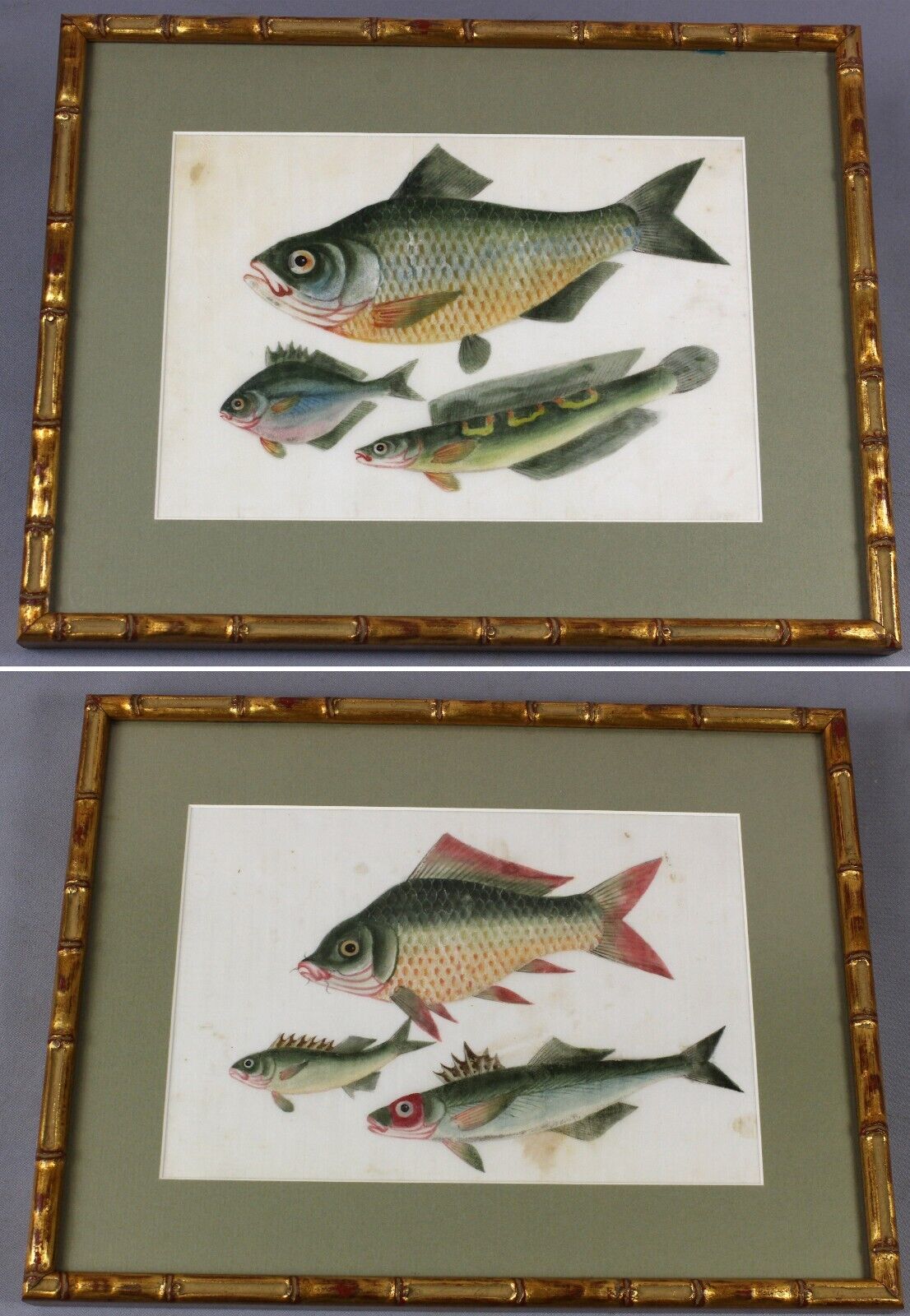 19th century FISH attractive pair of ORIGINAL Chinese paintings on pith FRAMED