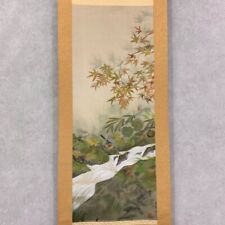 Japanese Hanging Scroll Birds Maple Stream Painting w/Box Asian Antique muV picture