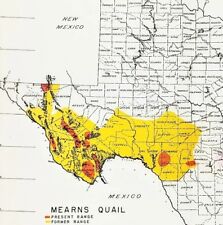 1945 Texas Map ORIGINAL Counties Fish Game Commission  picture