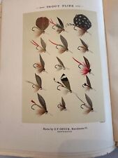 1892 Mary Orvis Marbury Plate T Trout Flies - Favorite Flies. Fly fishing print picture