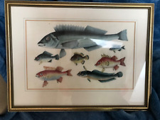 antique Chinese pith rice paper painting 7 fish unusual French matted picture
