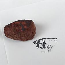 Japanese Rubber Stamp Tropical Fish Vtg Animal Sponge Base Stationary HS199 picture