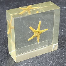 Vintage Star Fish Scientific Specimen Lucite Resin Encased Starfish Sample picture