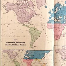 Map Of The World 1884 Beast Birds Fish Distribution Victorian Lithograph DWP3D picture