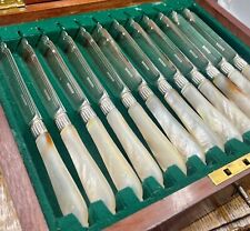 Set of 12 pairs  silver plated mother of pearl fish knives & forks Circa 1890 picture