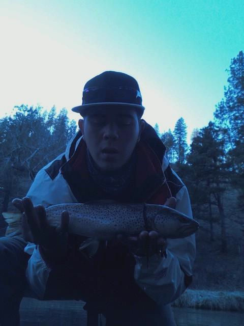cp1950211021627