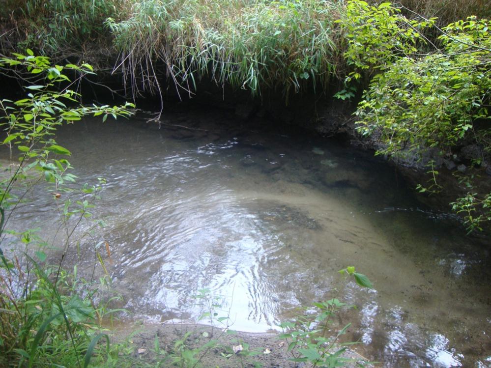 DSC06408