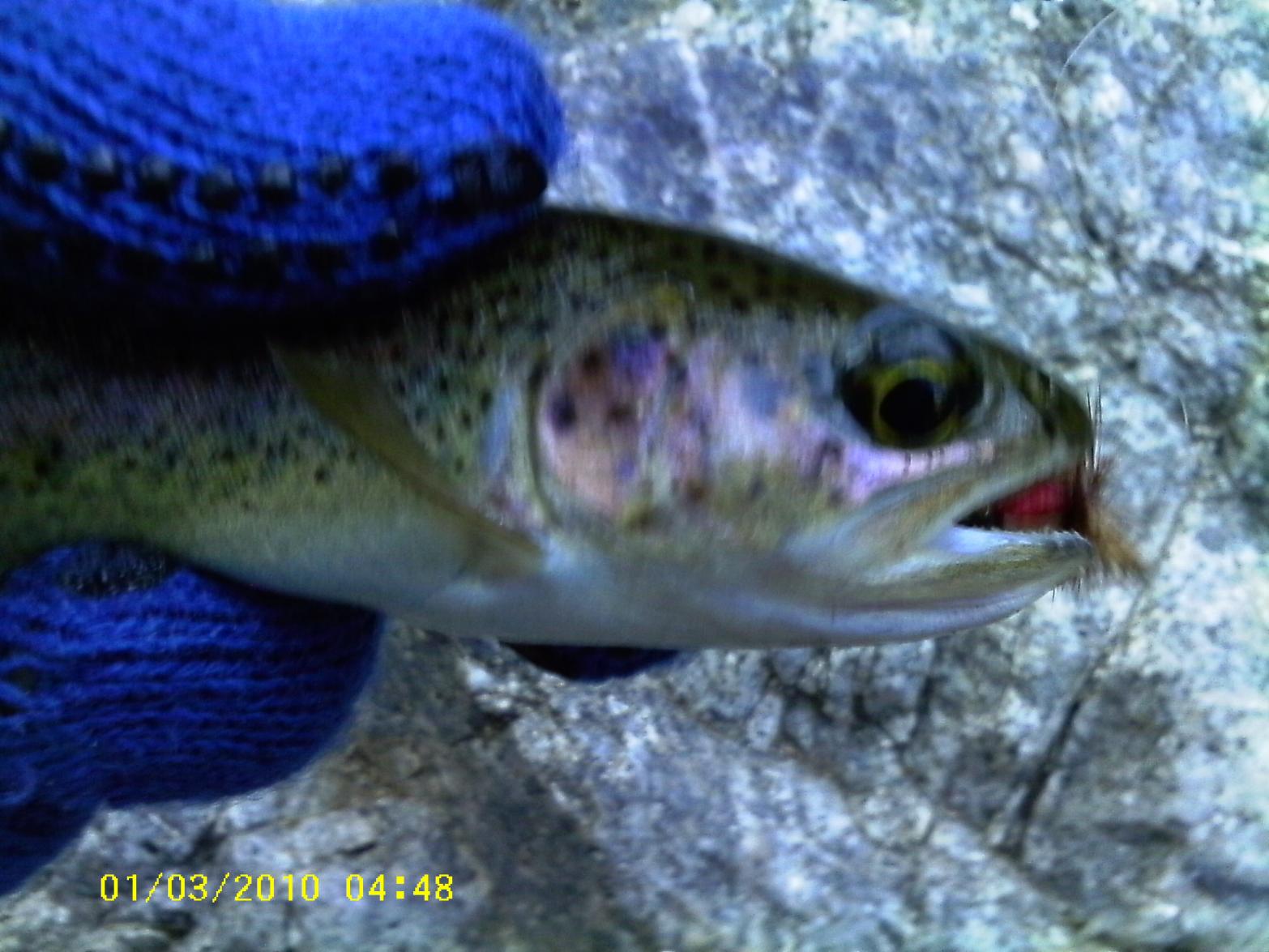 CA rainbow, Mill Creek.1