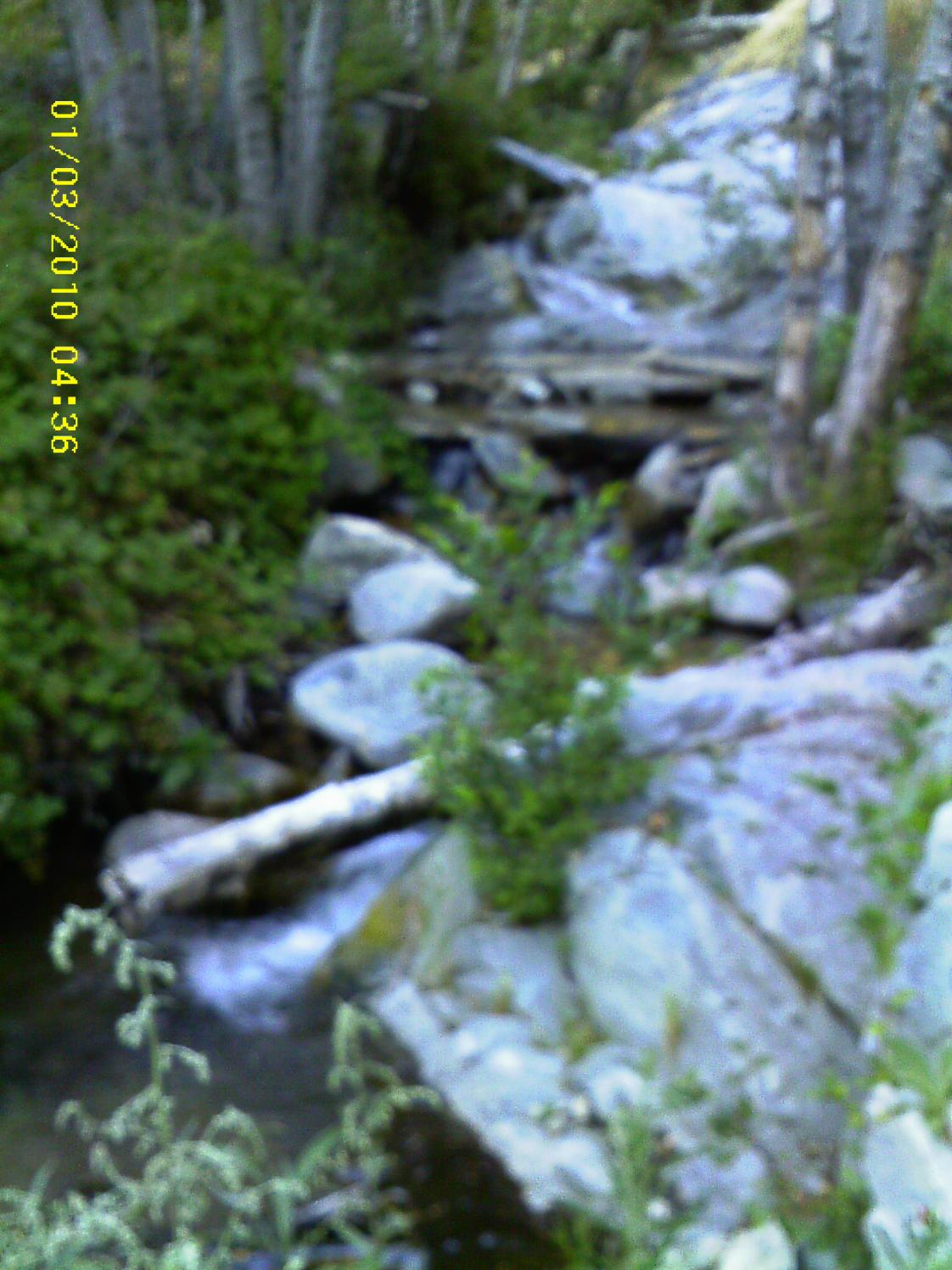 Loch Leven/Mt. Home Creek