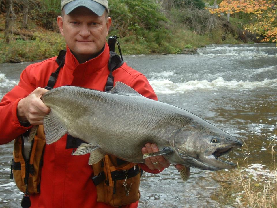 Salmon fun