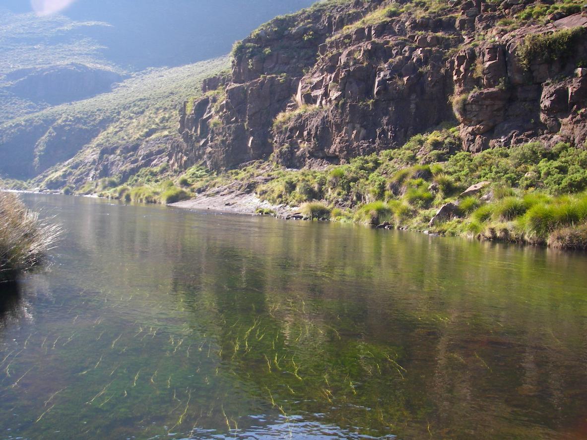 006   Lesotho flyfishing rainbow trout rex fey april 05