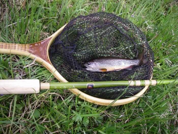 Net, fish and Seki Rei