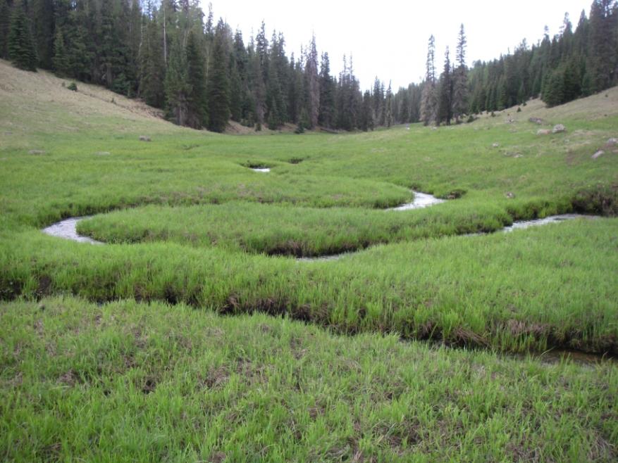 Oxbows