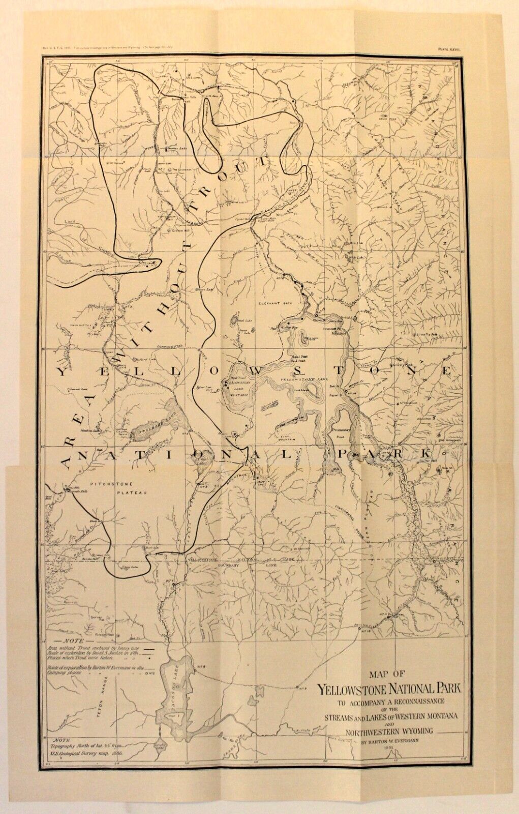 TROUT, YELLOWSTONE NATIONAL PARK, W. MONTANA, N.W. WYOMING Antique map 1891