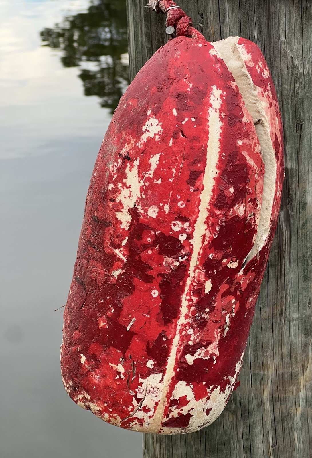 Old Crab Fish Pot Float Buoy  Nautical Coastal  Shabby Chic Decor OBX Authentic