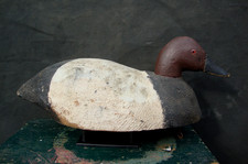 ANTIQUE CANVASBACK PRIMITIVE  DECOY MICHIGAN OHIO PENNSYLVANIA  OLD LURE NR picture