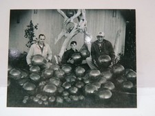 4+1/4 X 5+1/2 INCH GLASS FISHING FLOAT POST CARD BEACHCOMBING picture