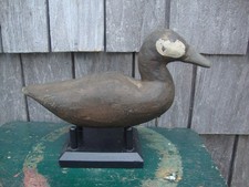 RUSTIC  RUDDY DUCK DECOY CAROLINA OBX PRIMITIVE LURE picture
