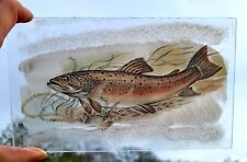 Stained glass Brown Trout fish kiln fired piece 17 cm x 10.5 cm picture