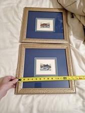 Dan Mitra Black Bass & Red Snapper hand-colored etching Edition of 750 framed picture